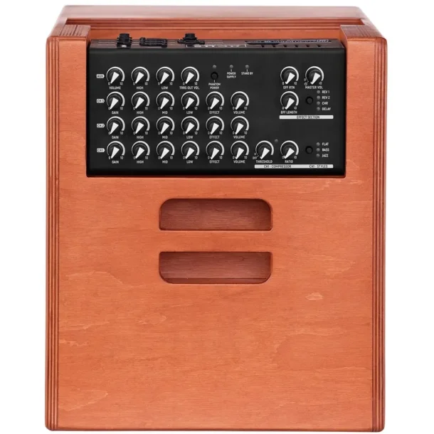 Acus One For Strings 10 Ferdi akustisk guitarforst�rker